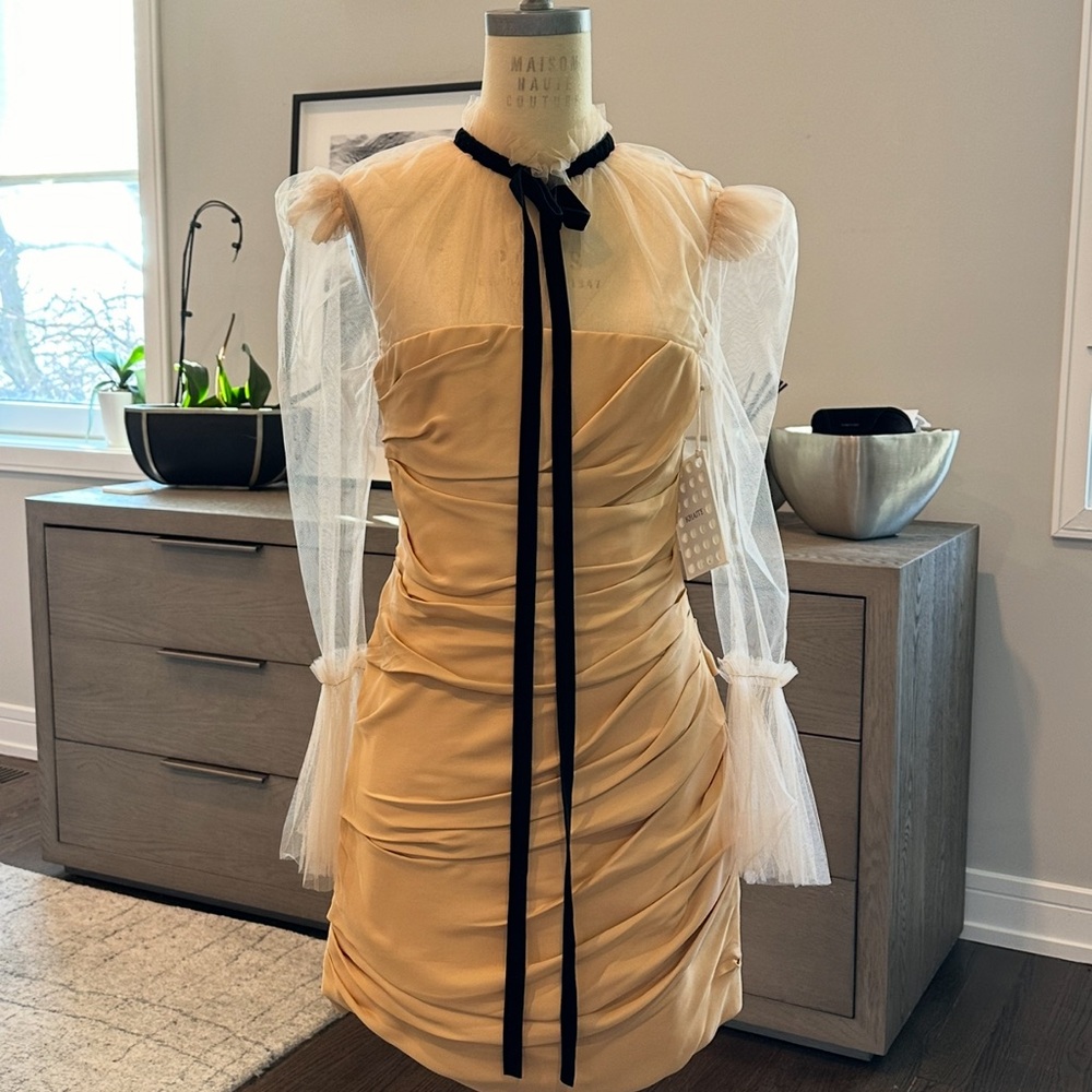 Khaite Elegant Light Gold Dress with Sheer Sleeves - Picture 10 of 11
